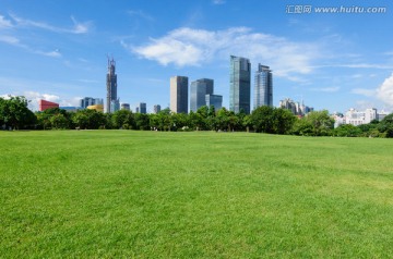 绿色草地 莲花山公园 深圳