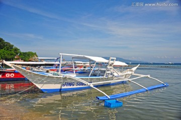 菲律宾海豚湾