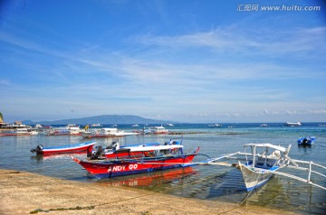 菲律宾海豚湾