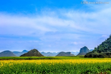 云南罗平油菜花