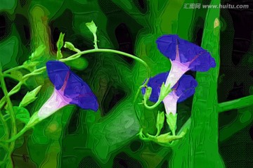 裝飾畫 牽鳥牛花