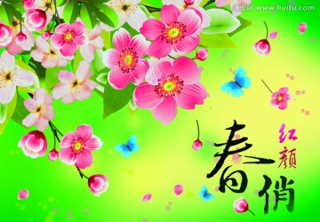 春俏紅顏