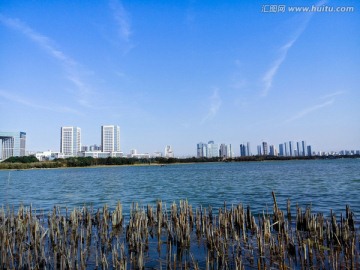 远眺城市地平线