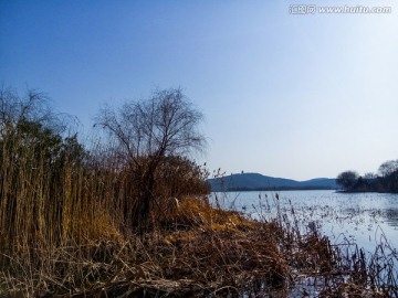 湖边绿化景观