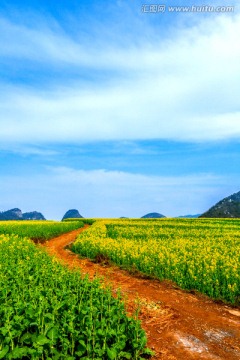 田园风光