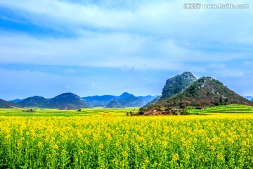 油菜花田园