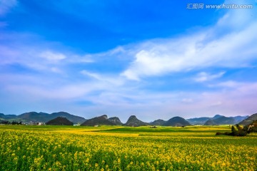 云南罗平油菜花