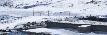 冬季牧场 风雪天山路