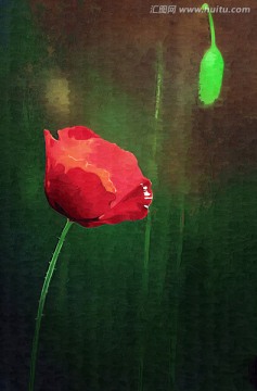 鮮花裝飾畫