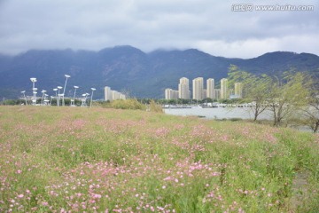 花海公园