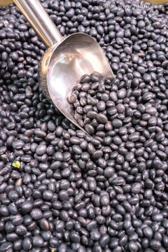 黑豆 黑色食品 豆科植物大豆