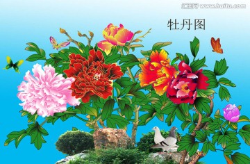 牡丹圖