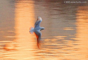 動感海鷗油畫