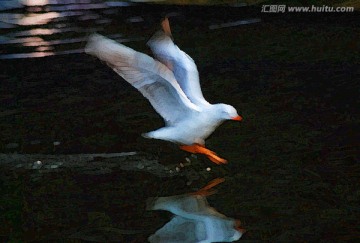 動感海鷗油畫