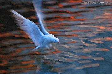 動感海鷗油畫