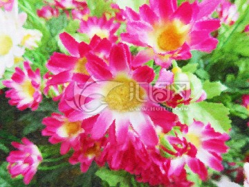 油畫花卉 無框裝飾畫