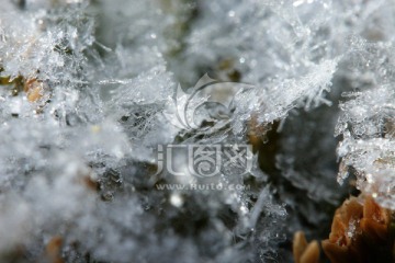 雪花特写