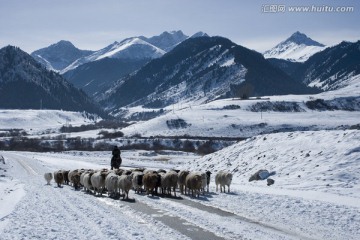 天山牧场