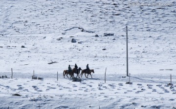 雪原上的骑马人 冬季