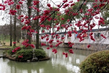 磨山风景