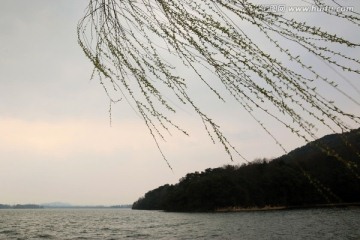 磨山风景