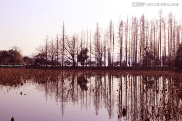 西湖秋景