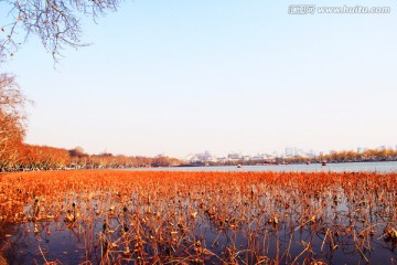 西湖秋景