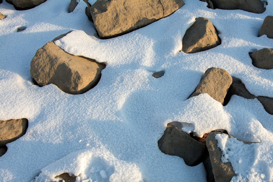 雪地