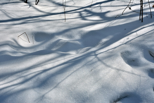 冬雪