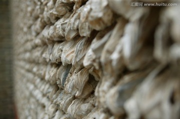 蚝的壳组成的墙面