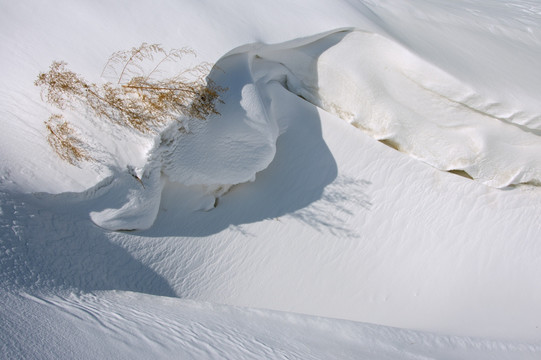 白雪