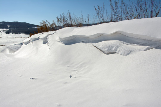 雪地