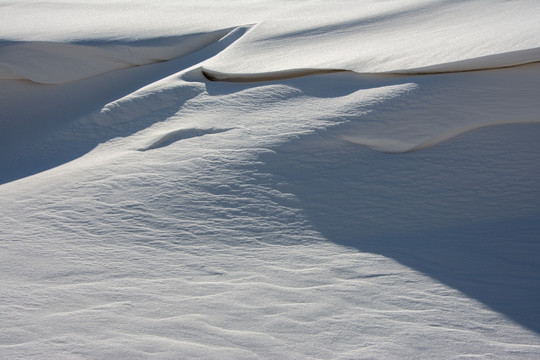 雪原