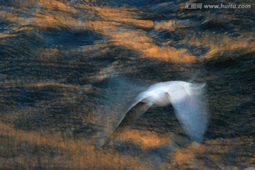 動感海鷗油畫