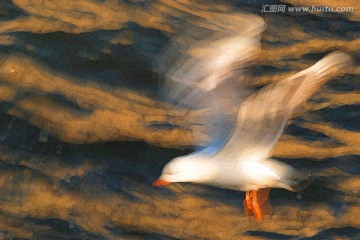 動(dòng)感海鷗油畫