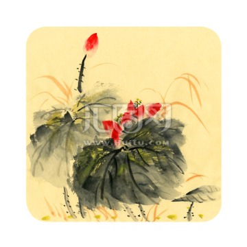 寫意荷花