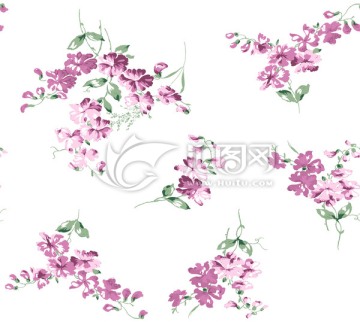 花朵 紫色 印花 未分層