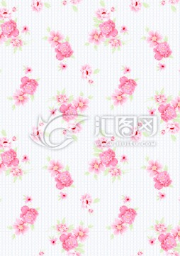 玫瑰花 花朵 未分層