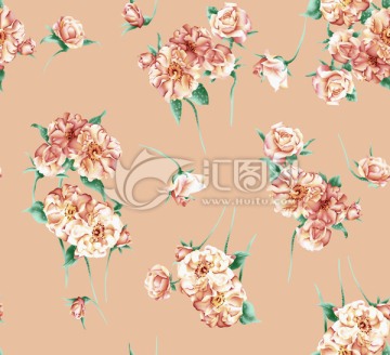 玫瑰花 花朵 未分層