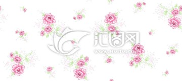 牡丹花 花朵 未分層
