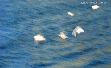 動感海鷗油畫