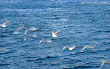 動感海鷗油畫