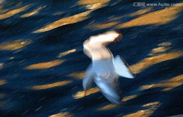 動感海鷗油畫