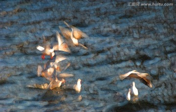 動感海鷗油畫
