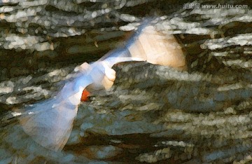 动感海鸥油画