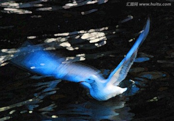 動感海鷗油畫