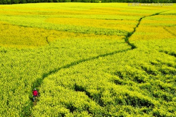 浪漫温馨的小路