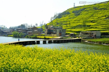 山水田园