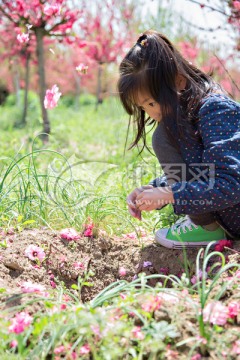 春天 看花 落花