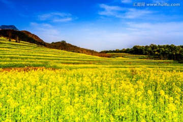 田园风光